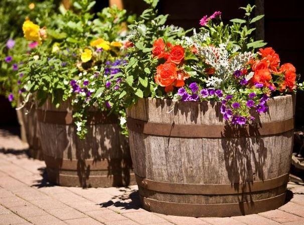 Wine Barrels for Planters Elevate Your Garden with Rustic Charm